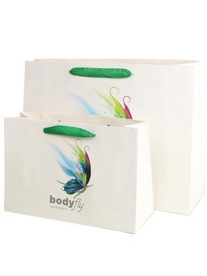 Green Ribbon Paper Bag