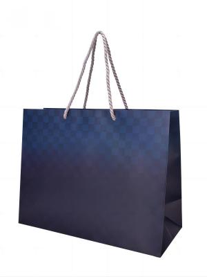 Customized Large Capacity Shopping Paper Bags