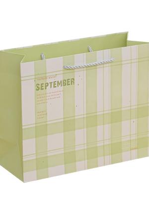 Plaid Shopping Gift Paper Bag